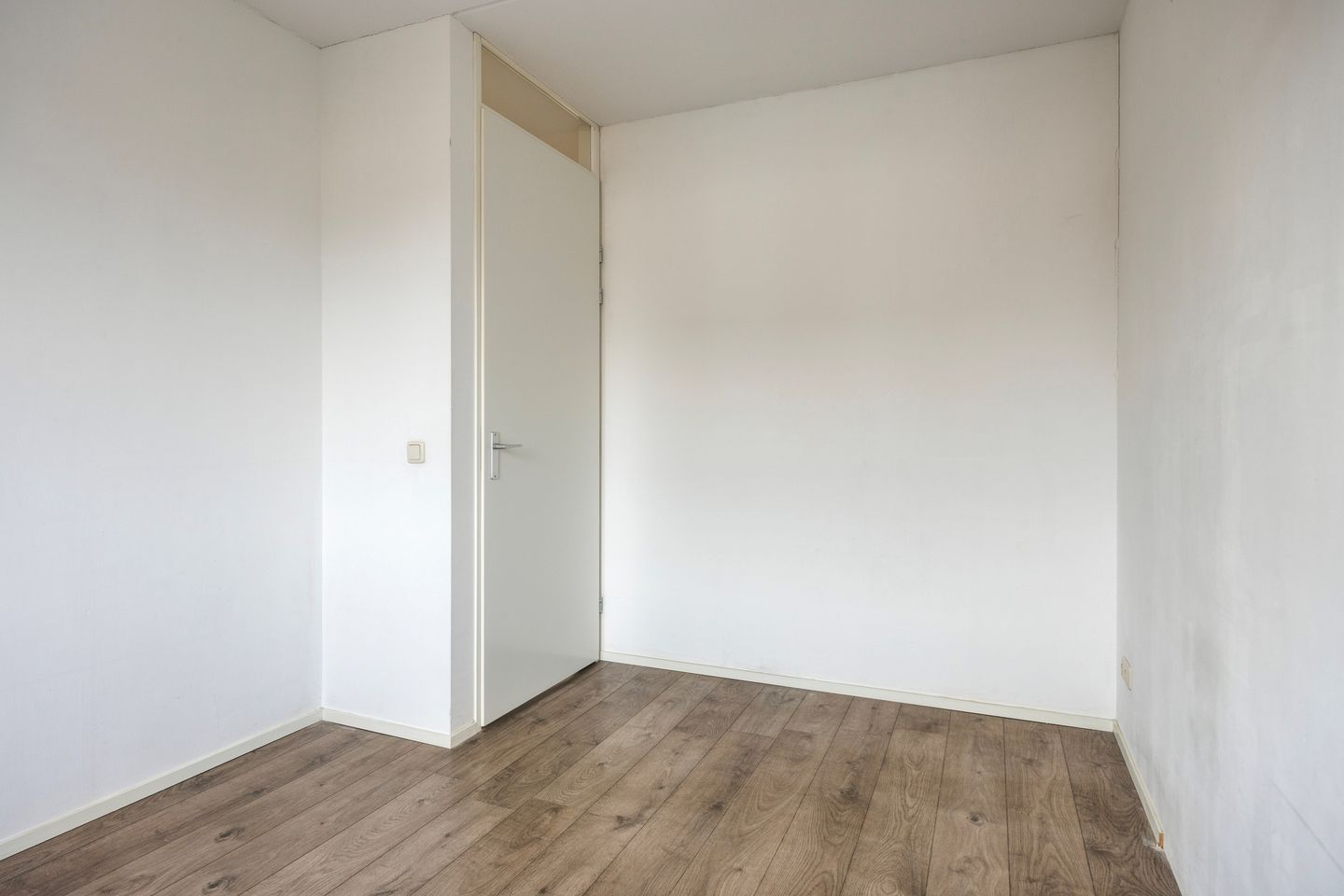 Foto 20 van Groene Specht 33