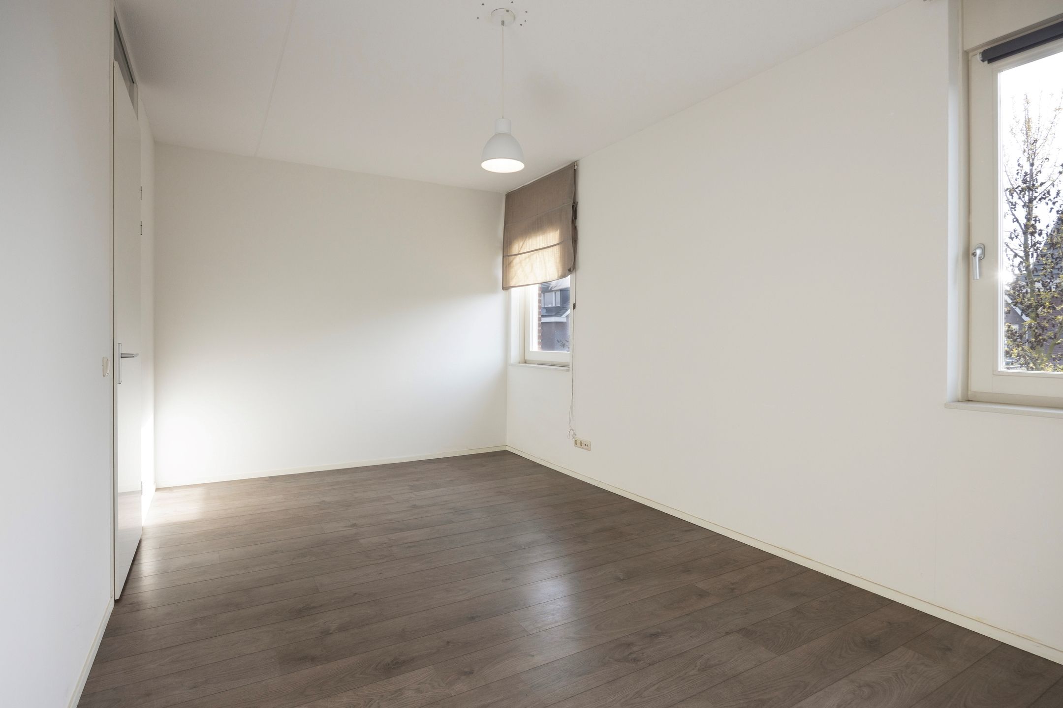 Foto 15 van Groene Specht 33