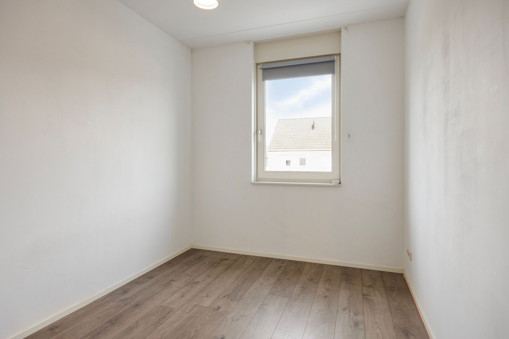 Foto 21 van Groene Specht 33