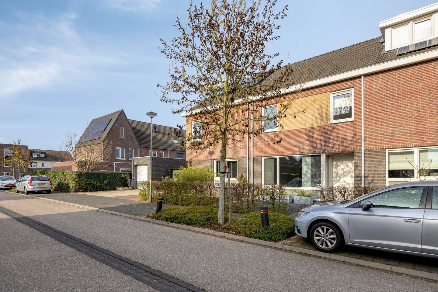 Foto 35 van Groene Specht 33