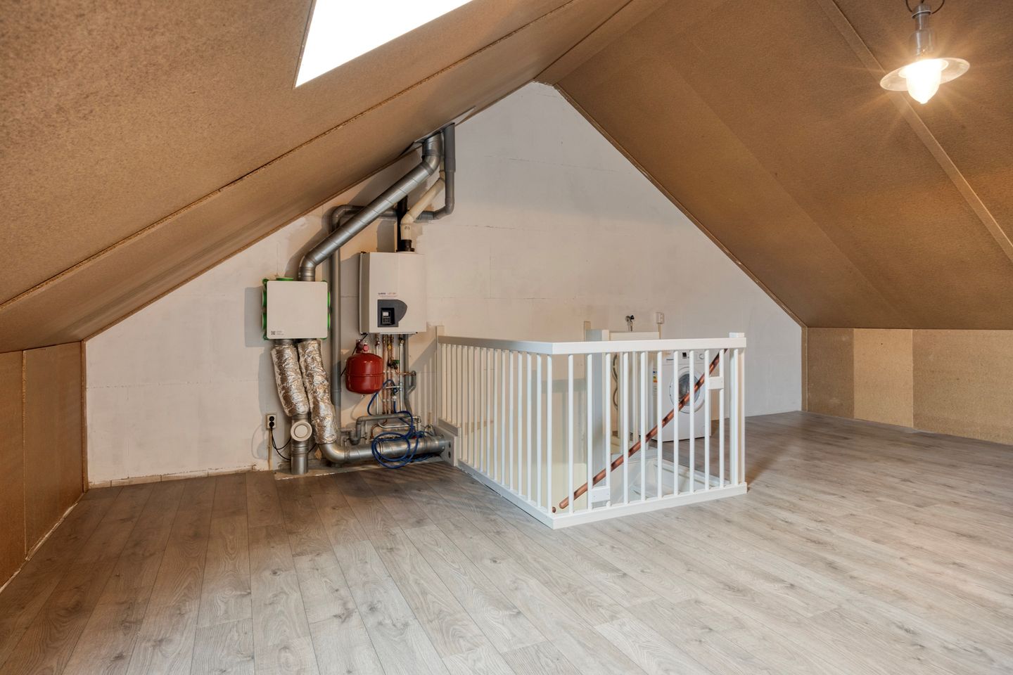 Foto 25 van Groene Specht 33