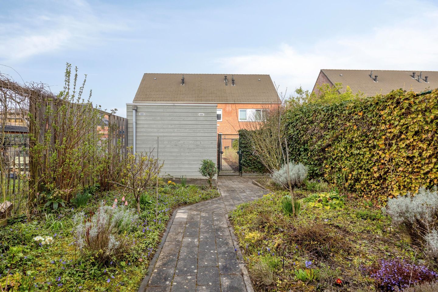 Foto 29 van Groene Specht 33