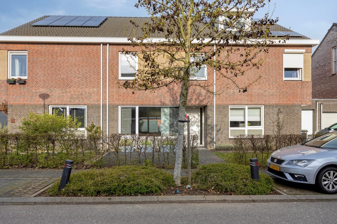 Foto 32 van Groene Specht 33