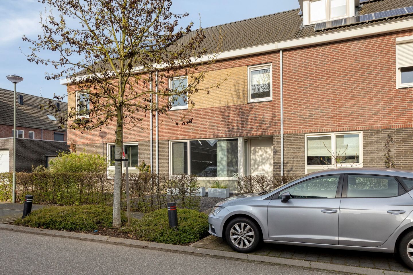 Foto 34 van Groene Specht 33