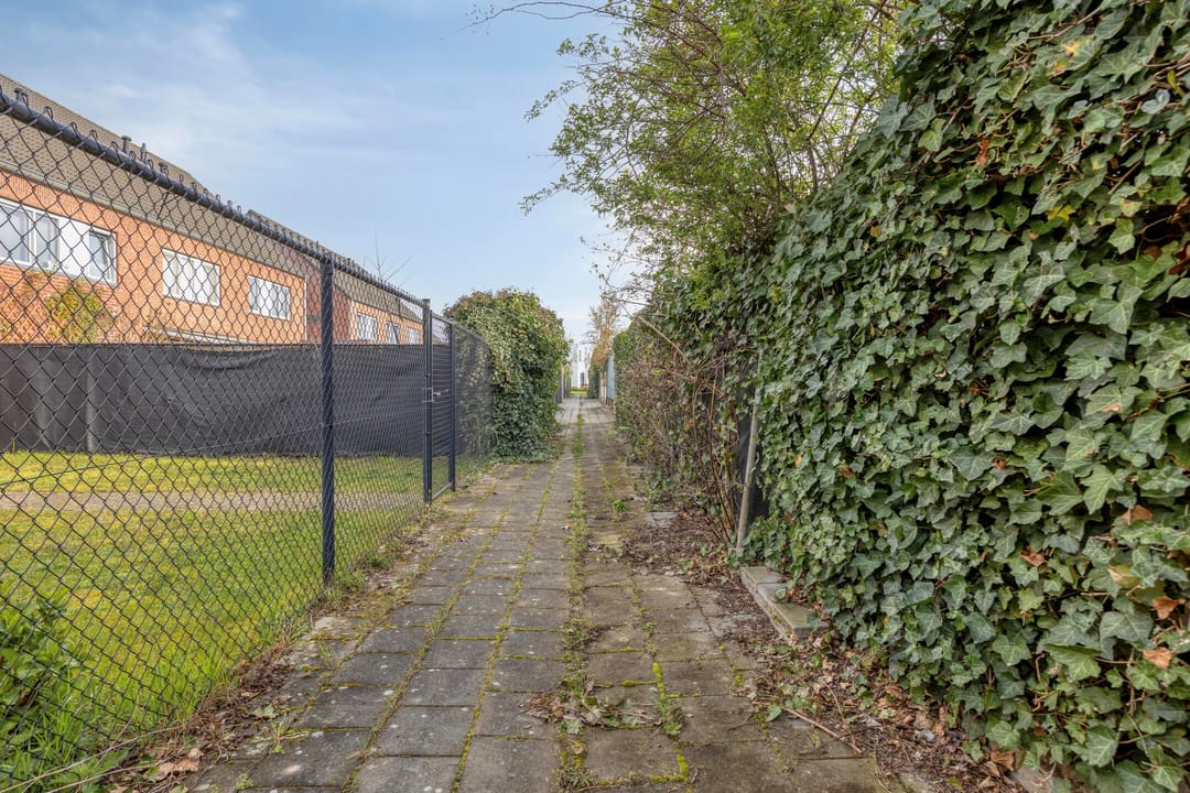 Foto 31 van Groene Specht 33