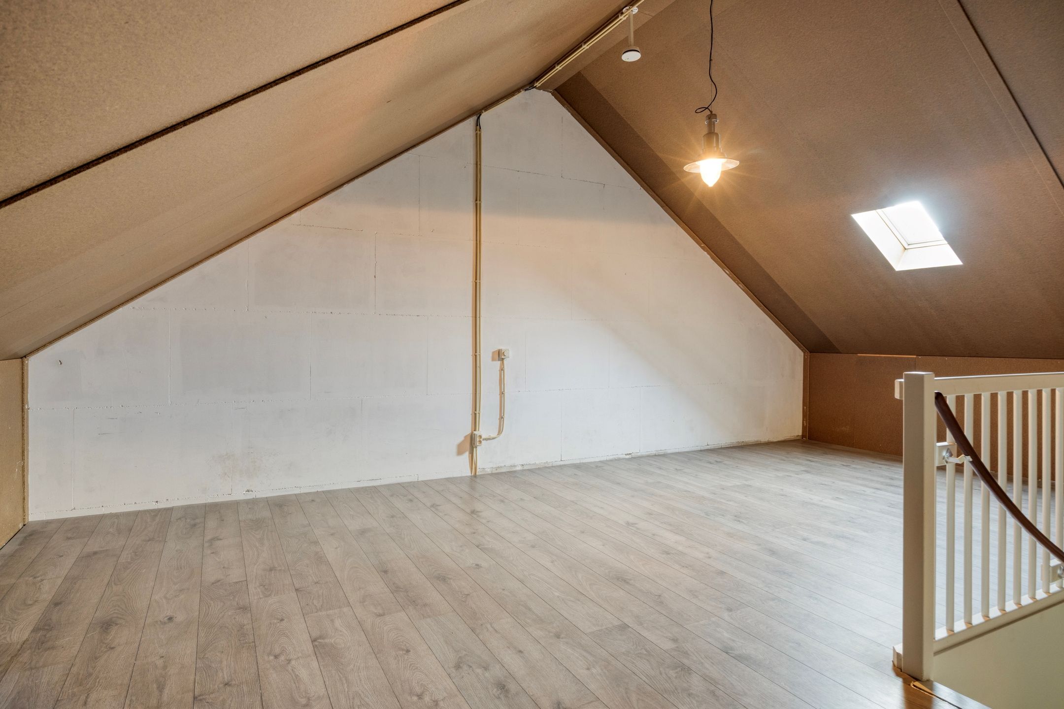 Foto 24 van Groene Specht 33