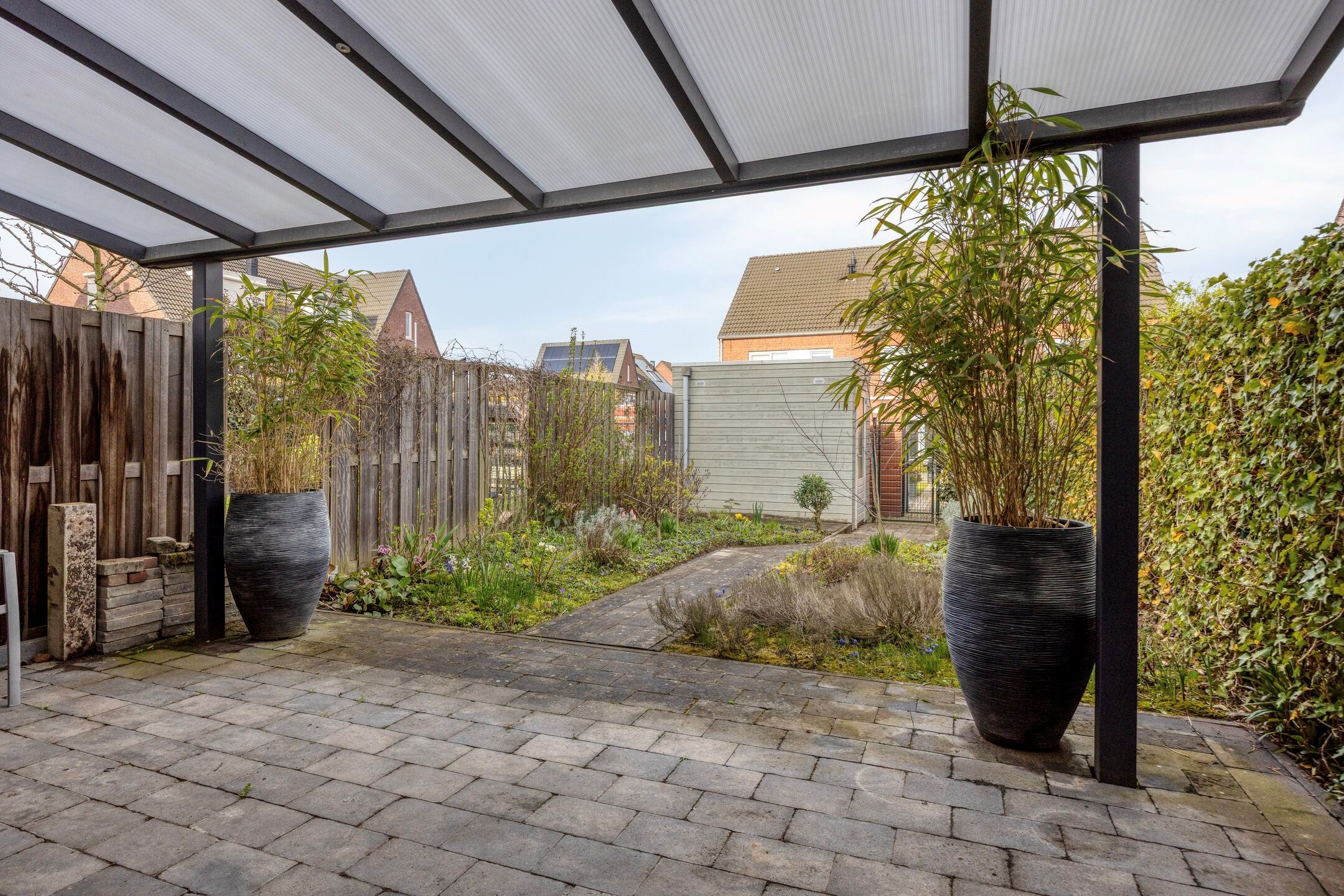 Foto 27 van Groene Specht 33