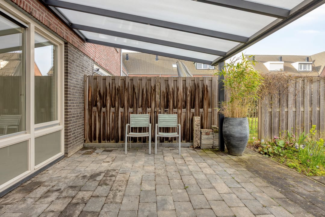 Foto 28 van Groene Specht 33