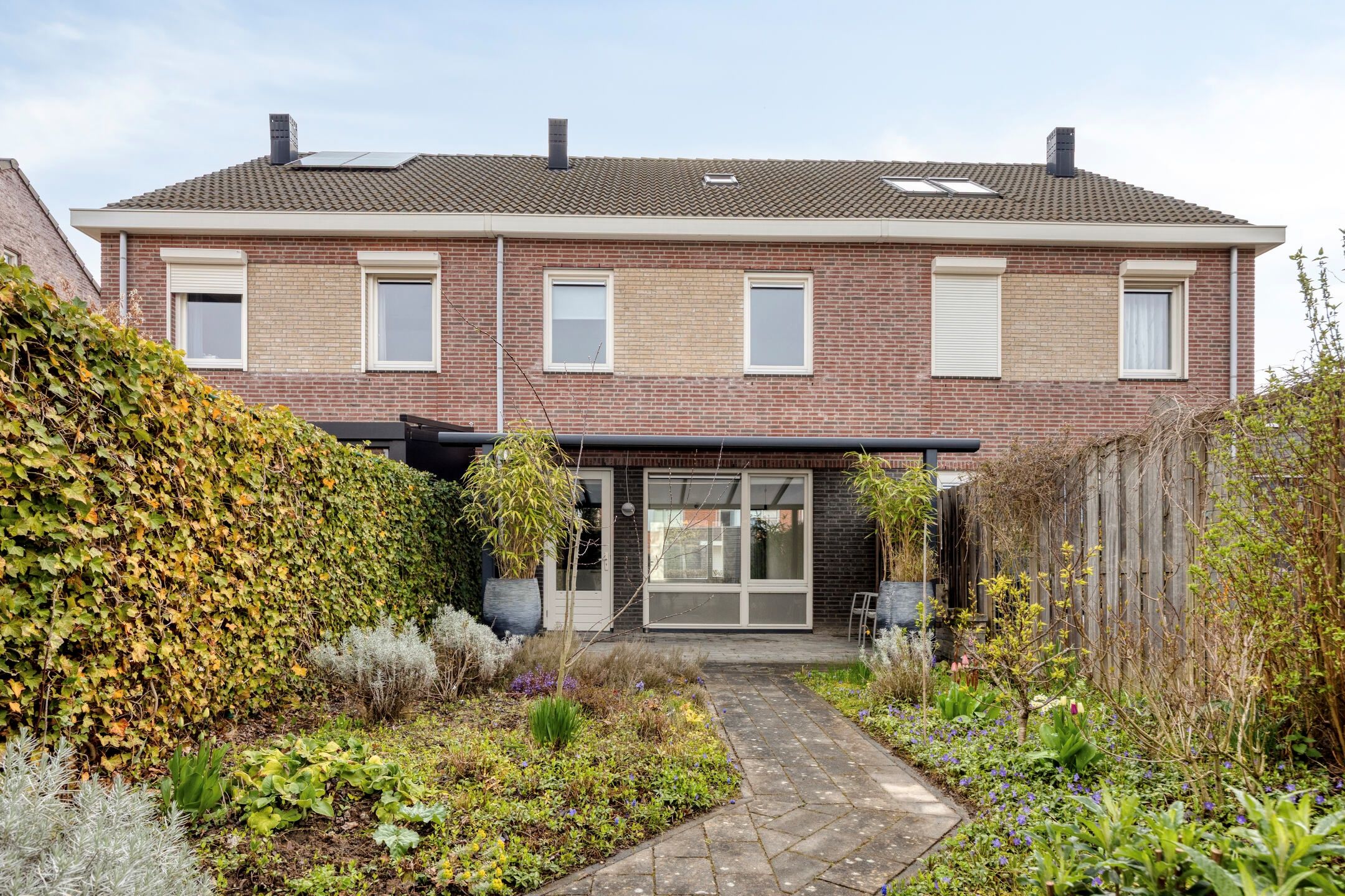 Foto 30 van Groene Specht 33