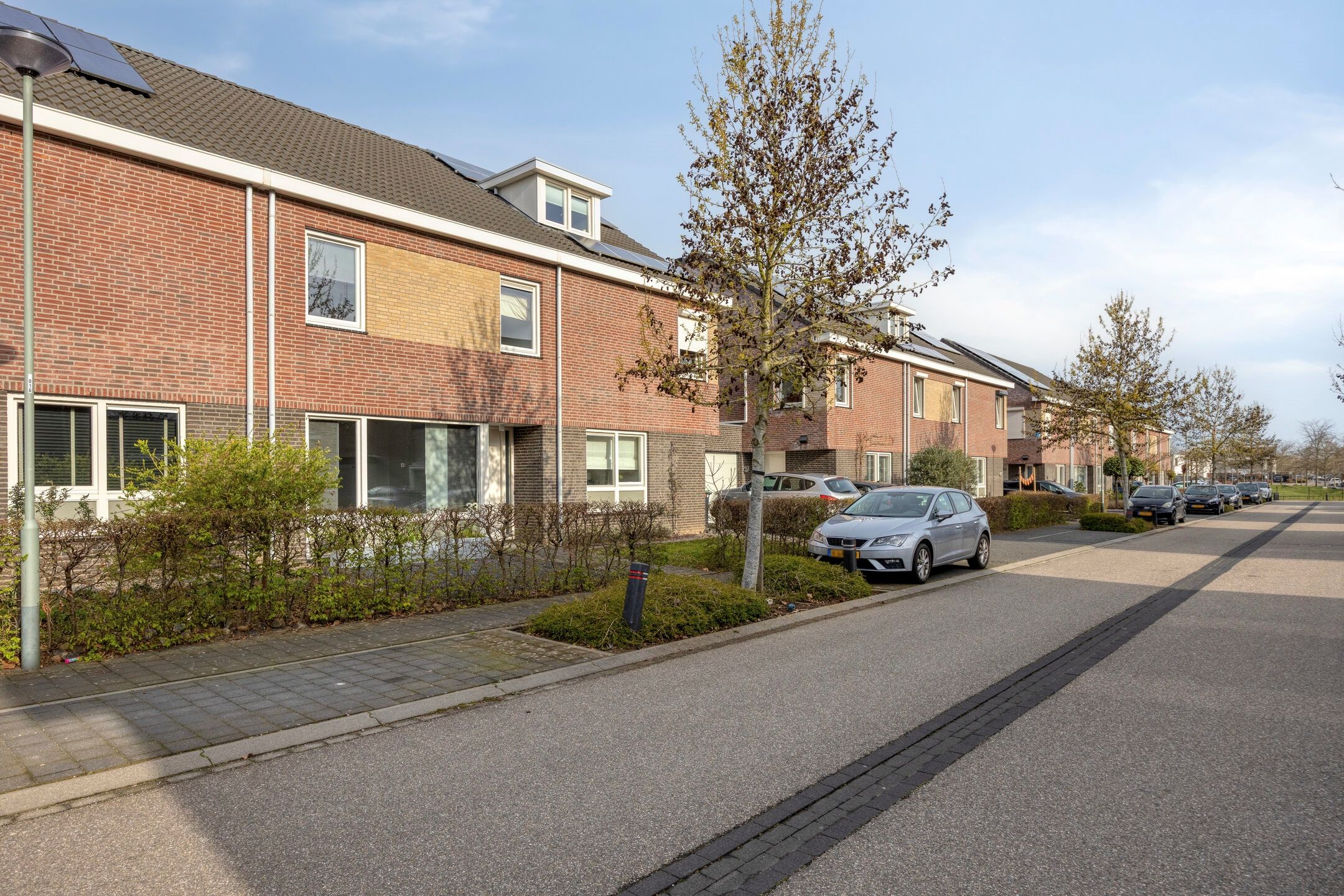 Foto 33 van Groene Specht 33