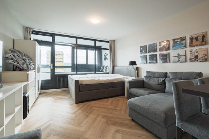 Foto 4 van Laan van Vollenhove 466