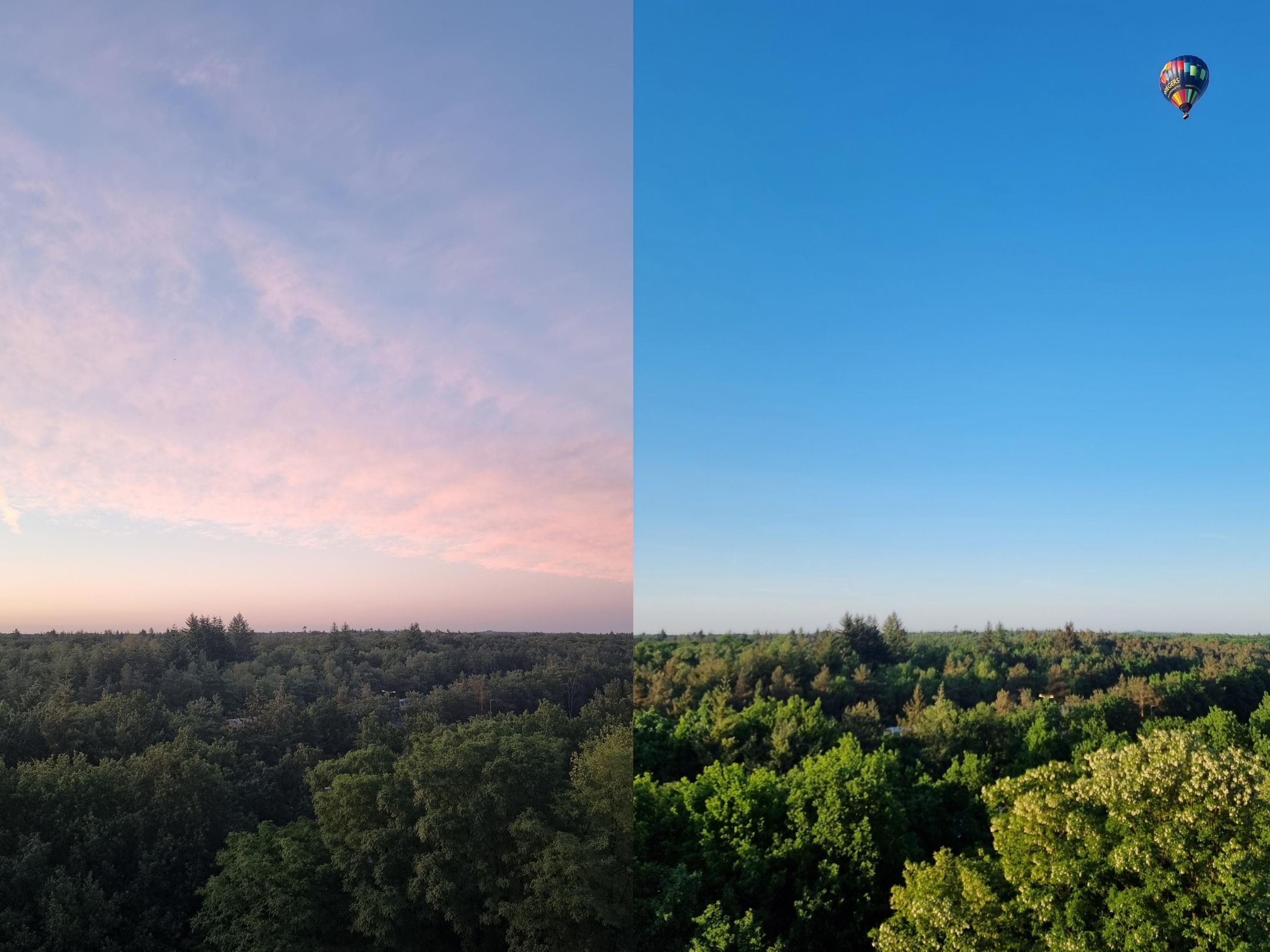 Foto 18 van Laan van Vollenhove 466