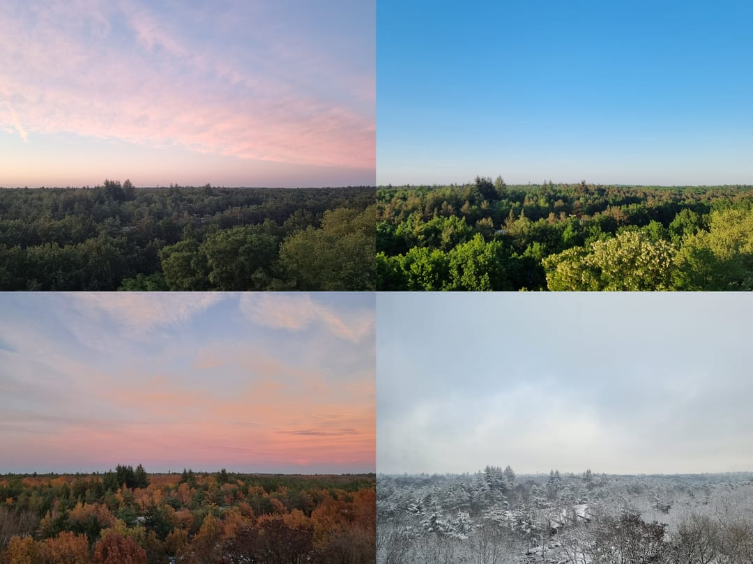 Foto 17 van Laan van Vollenhove 466