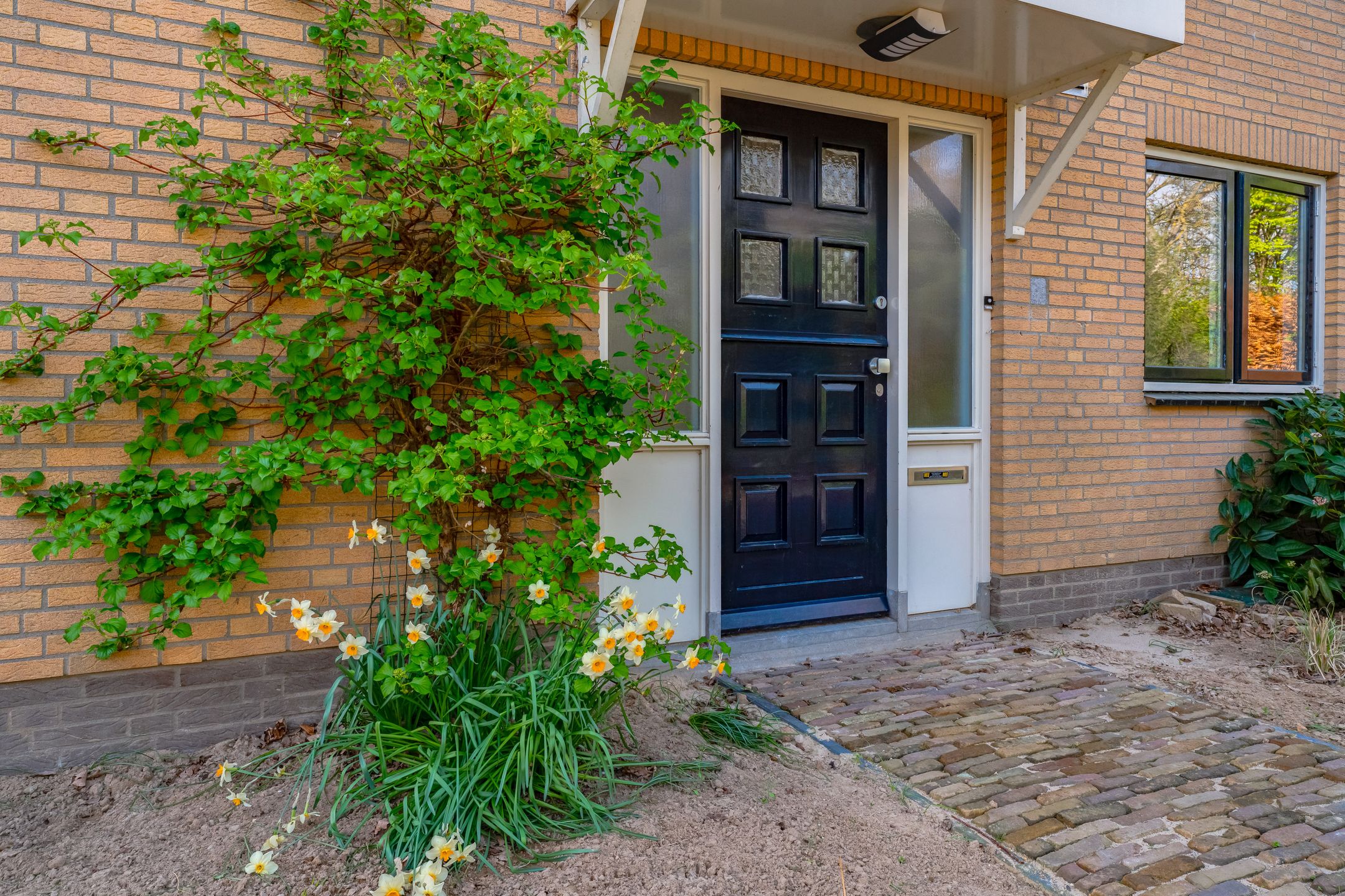 Fully Renovated Detached Family Home with Guest Annex — 9