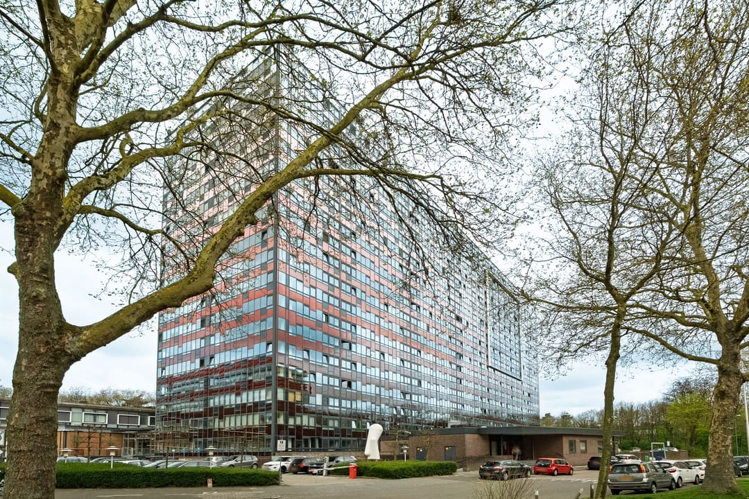 Foto 1 van Laan van Vollenhove 466