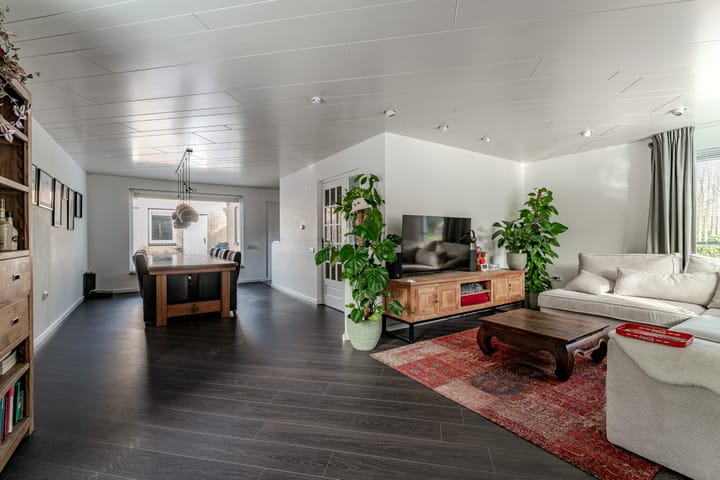 Foto 2 van de Beuk 79