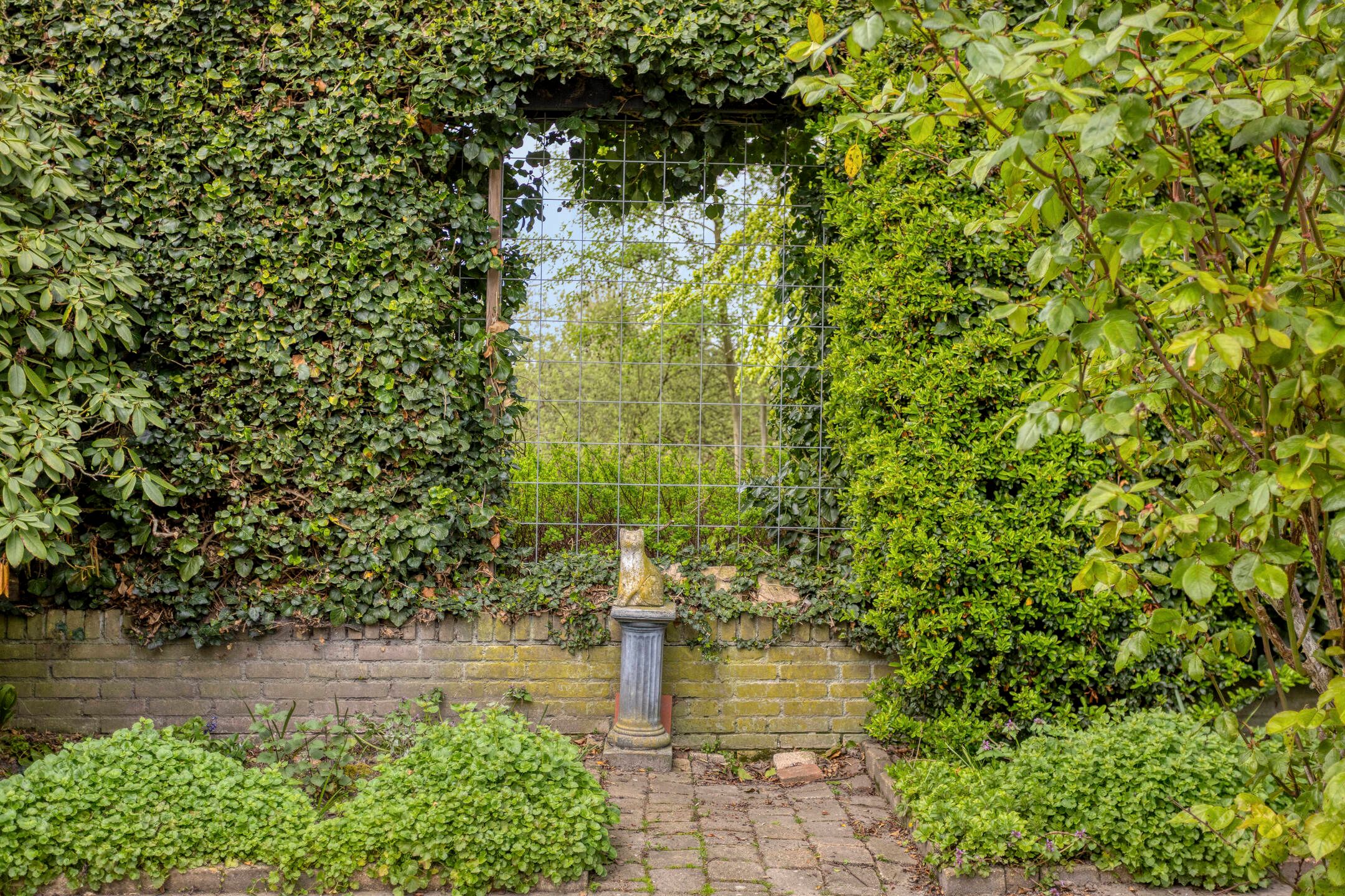 Photo 42 of Luytelaer 37