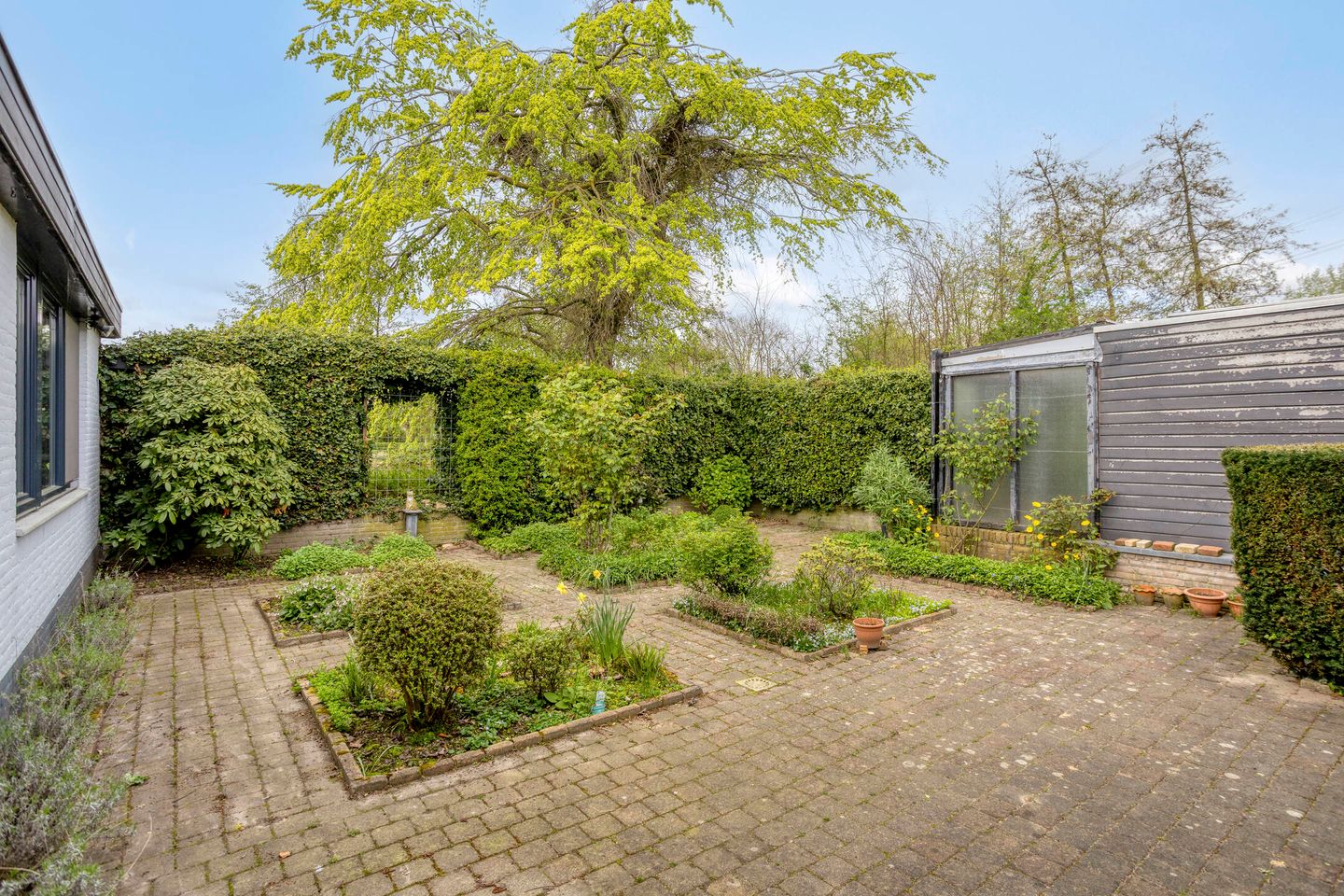 Photo 44 of Luytelaer 37