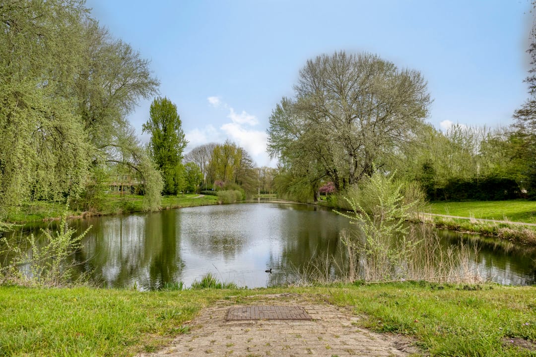 Photo 47 of Luytelaer 37