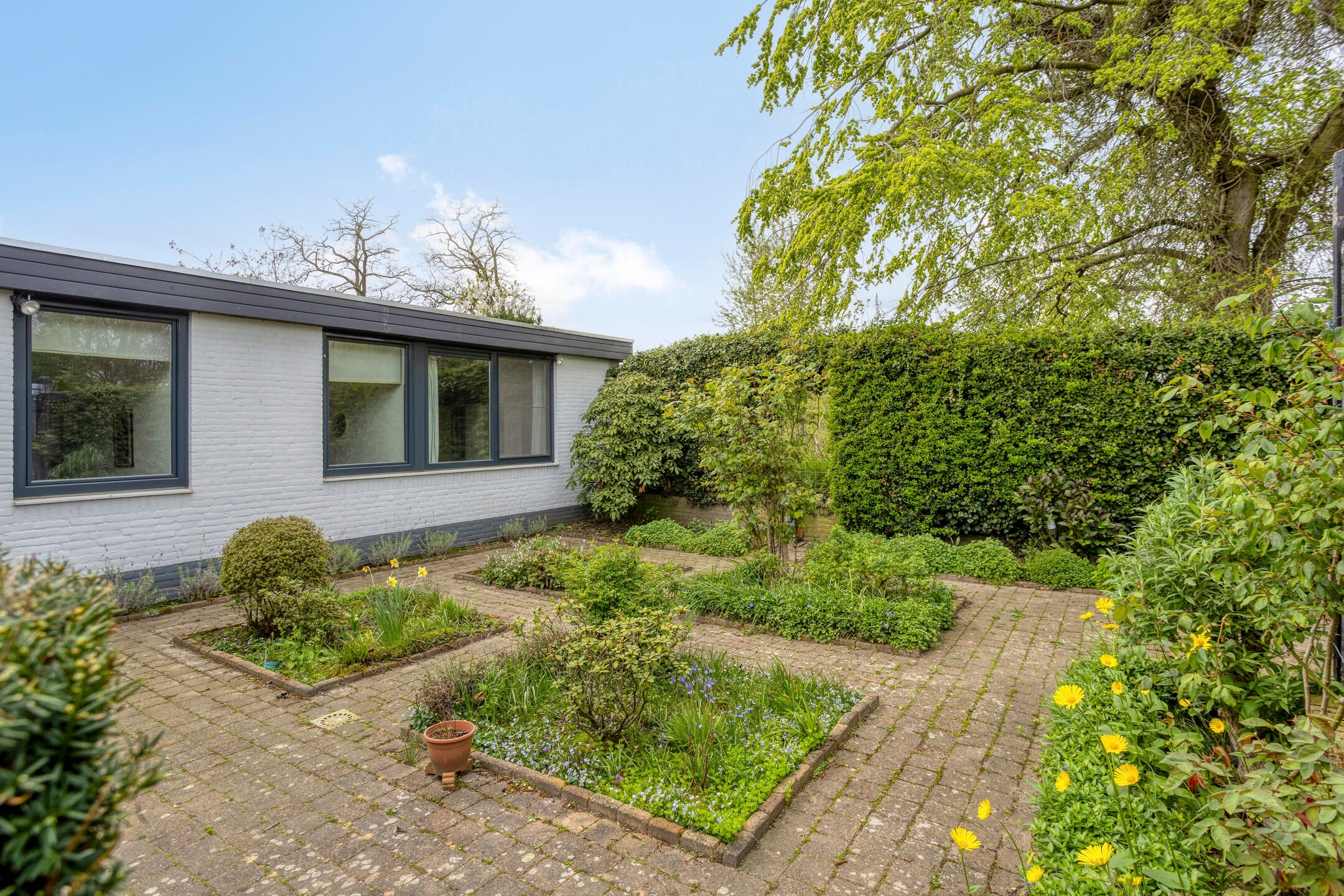 Photo 45 of Luytelaer 37