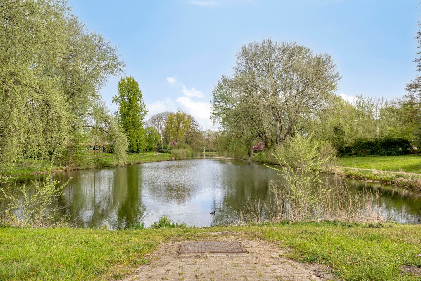 Photo 49 of Luytelaer 37