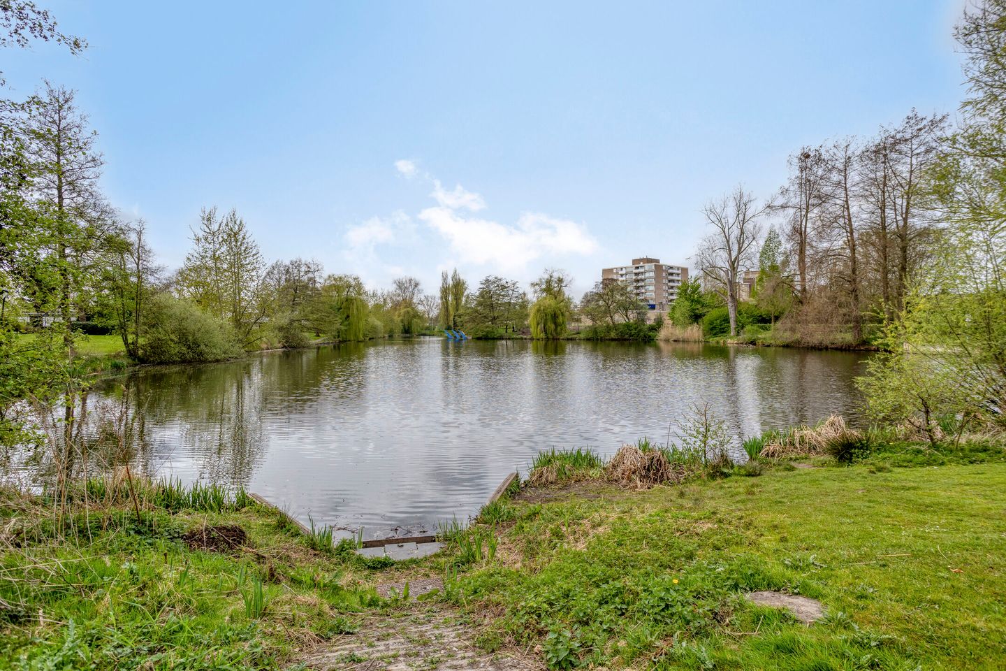 Photo 50 of Luytelaer 37