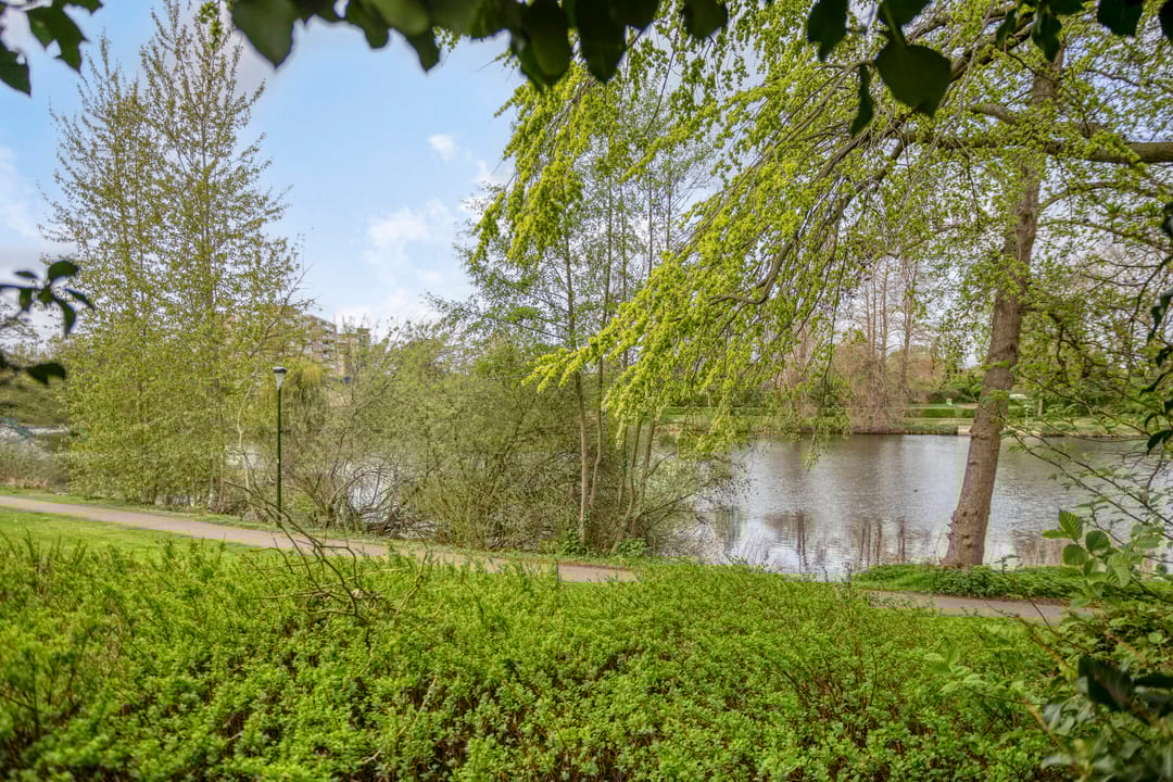 Photo 43 of Luytelaer 37