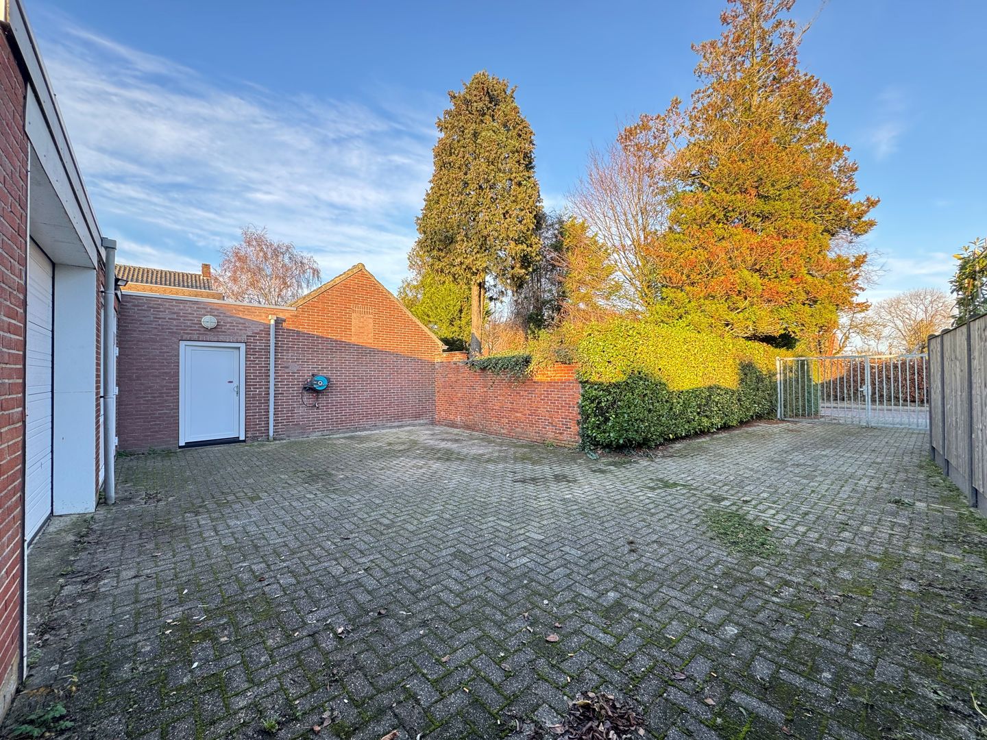 View photo 2 of Wega 1