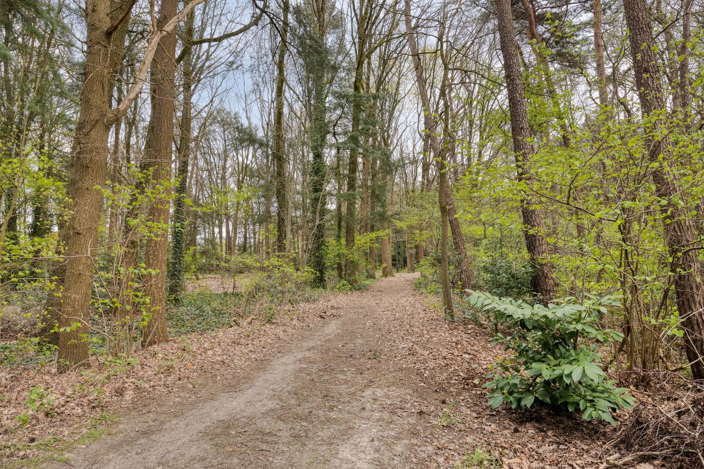 Foto 40 van Ekkerweg 4