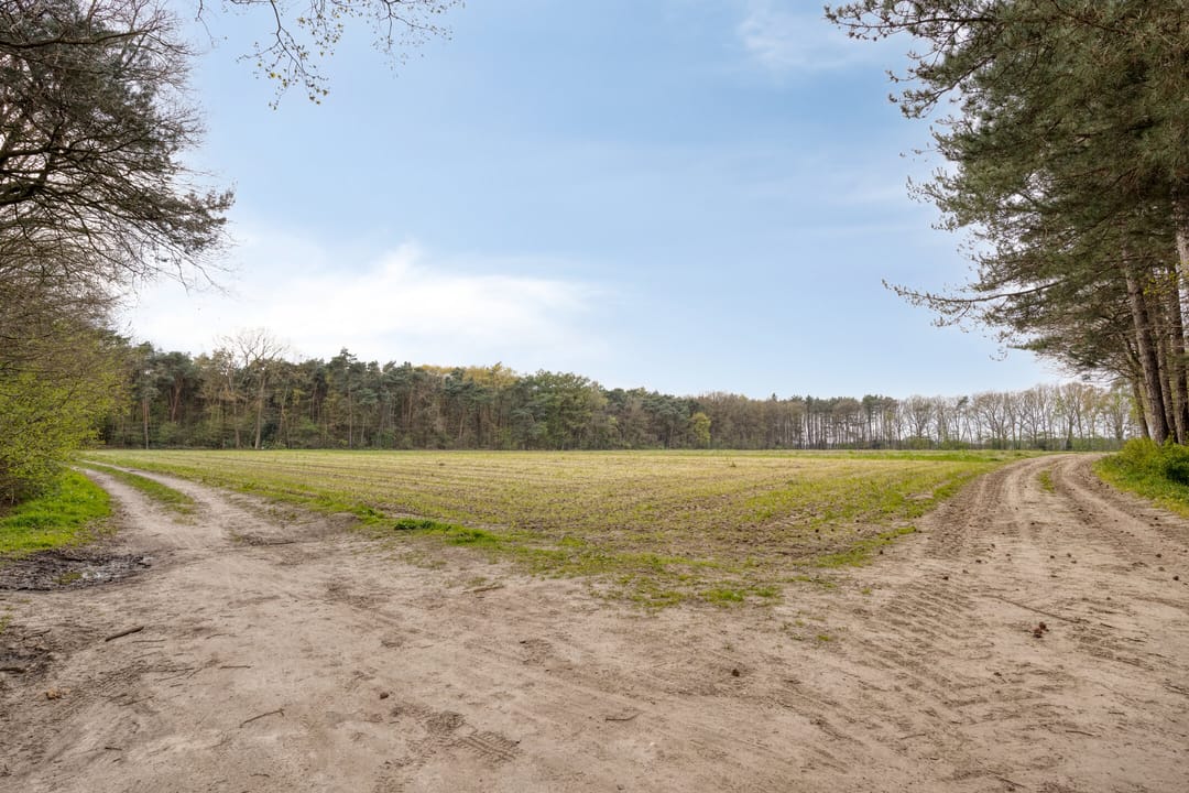 Foto 41 van Ekkerweg 4