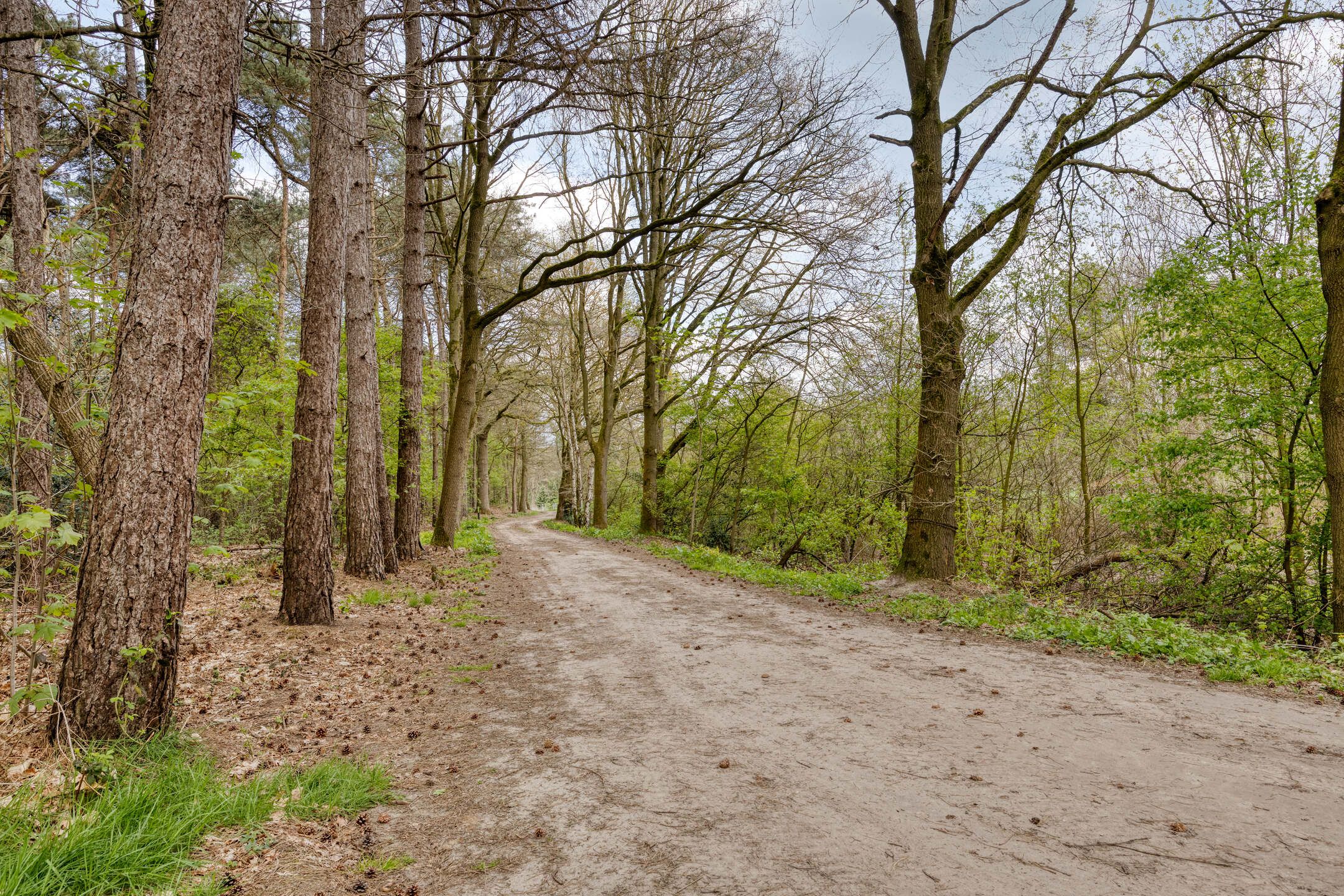 Foto 39 van Ekkerweg 4