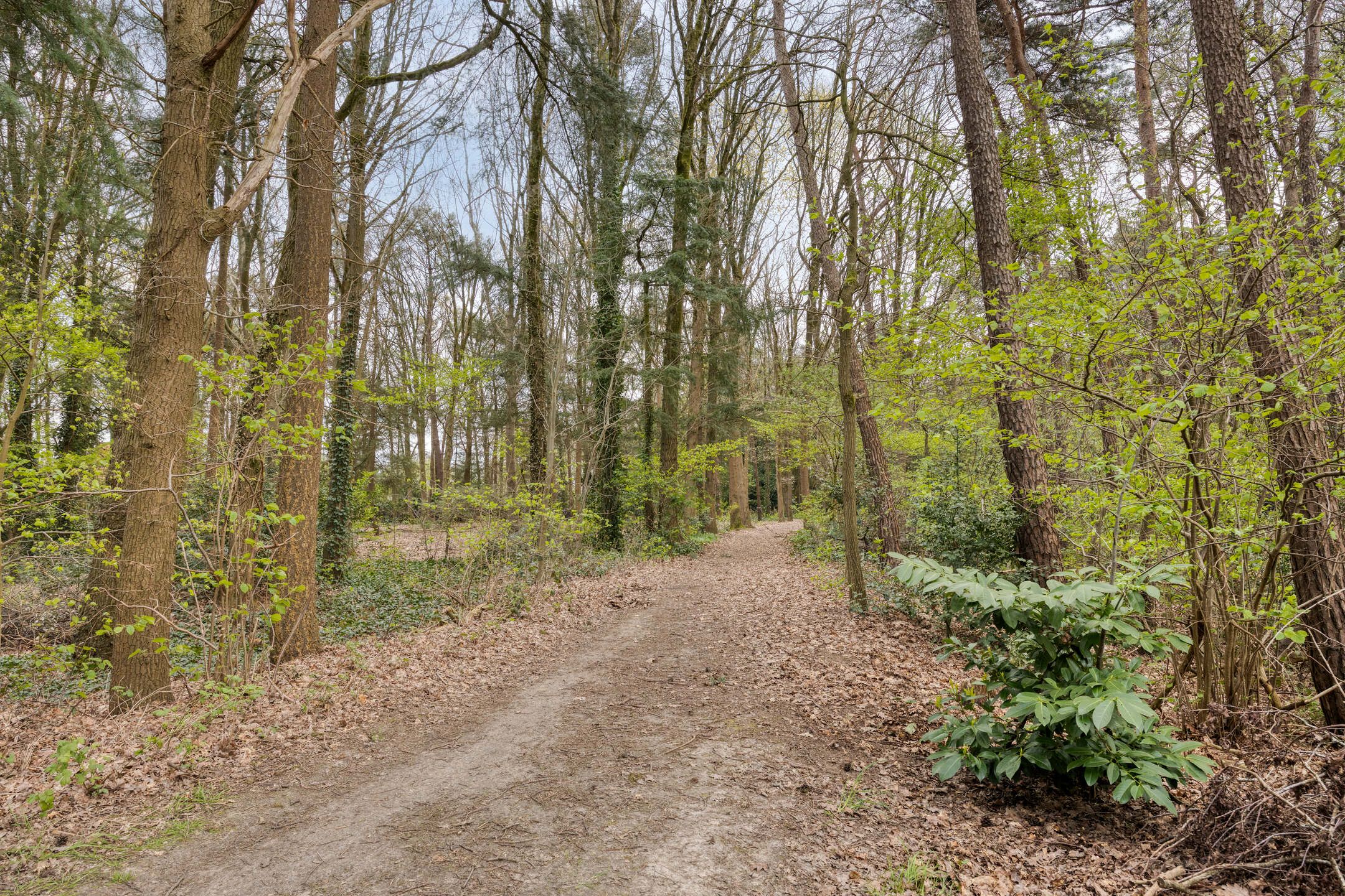 Foto 3 van Ekkerweg 4