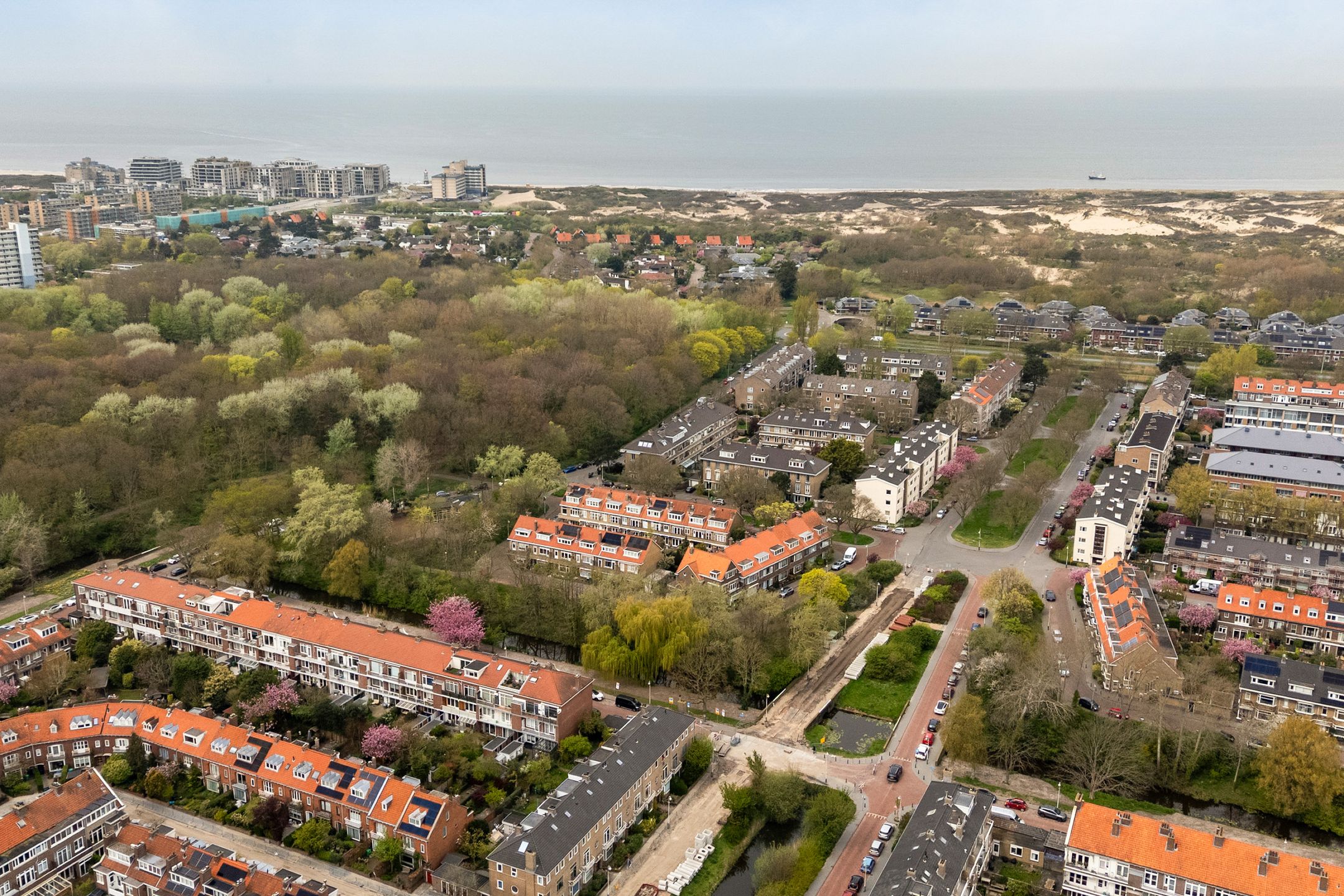 Foto 72 van Hoefbladlaan 134