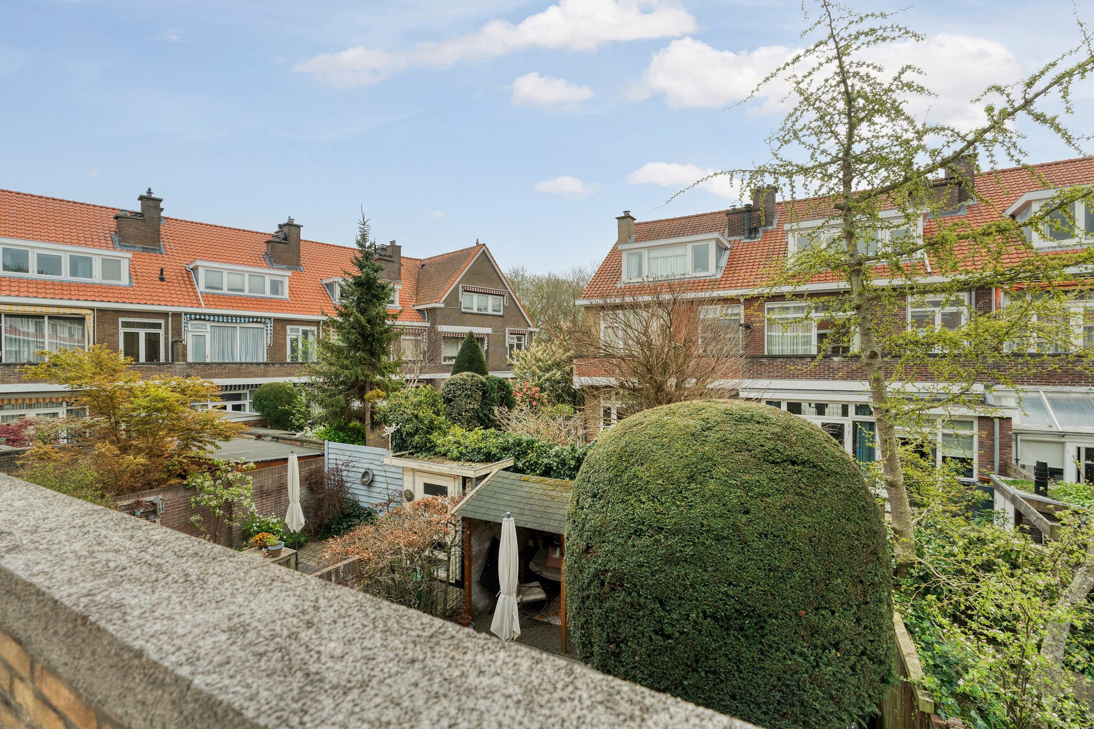 Foto 39 van Hoefbladlaan 134