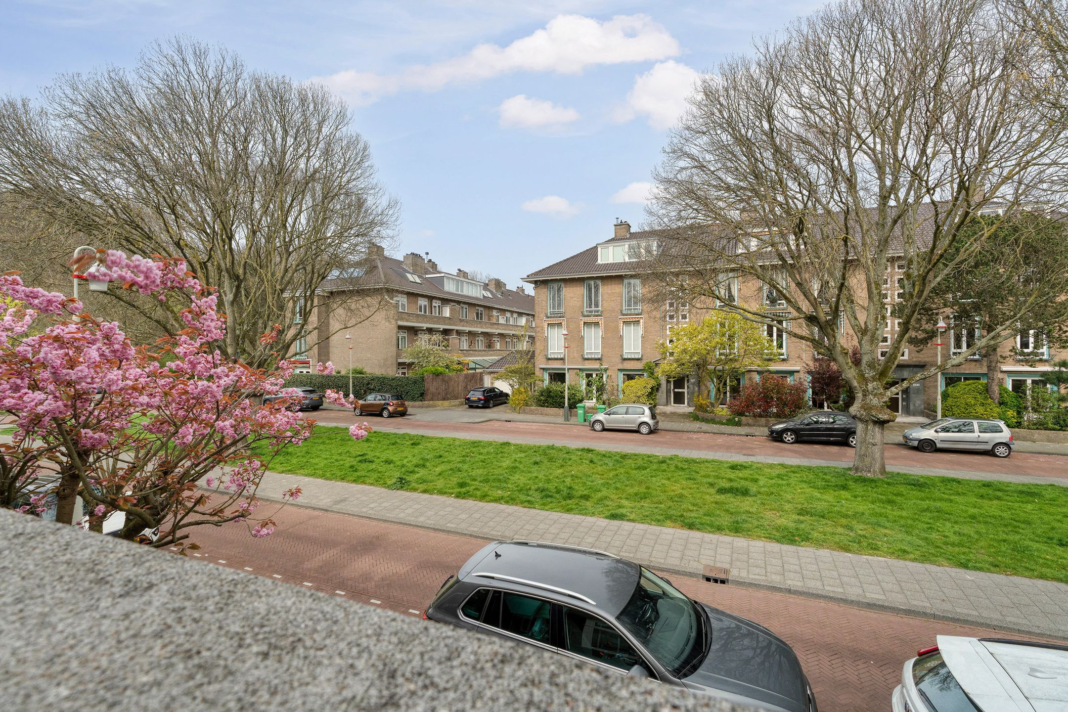 Foto 45 van Hoefbladlaan 134