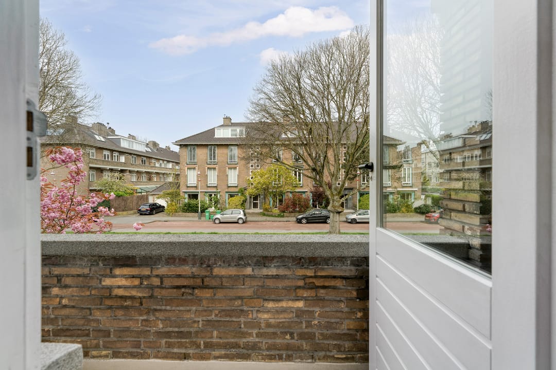 Foto 43 van Hoefbladlaan 134