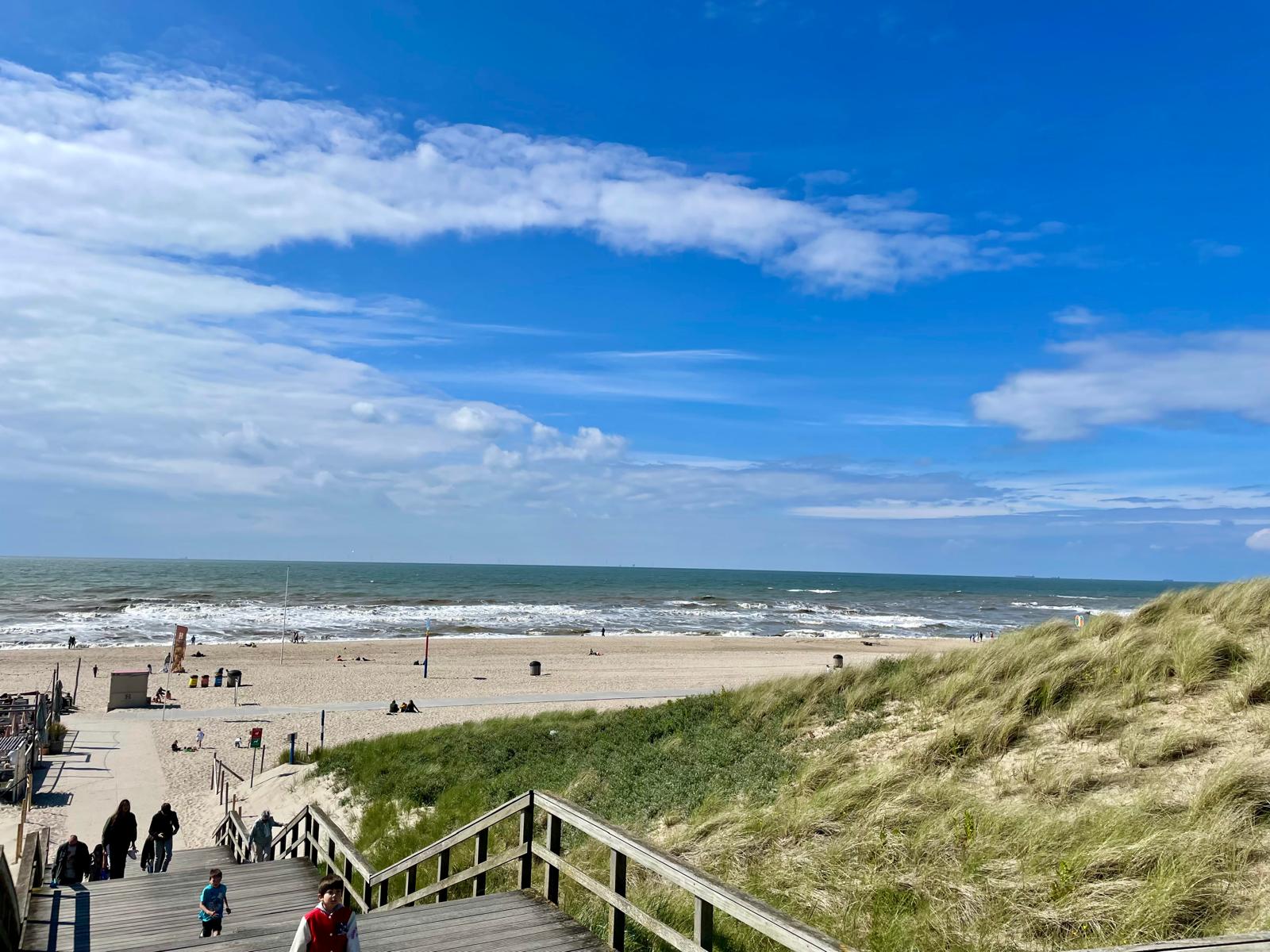 Foto 75 van Hoefbladlaan 134