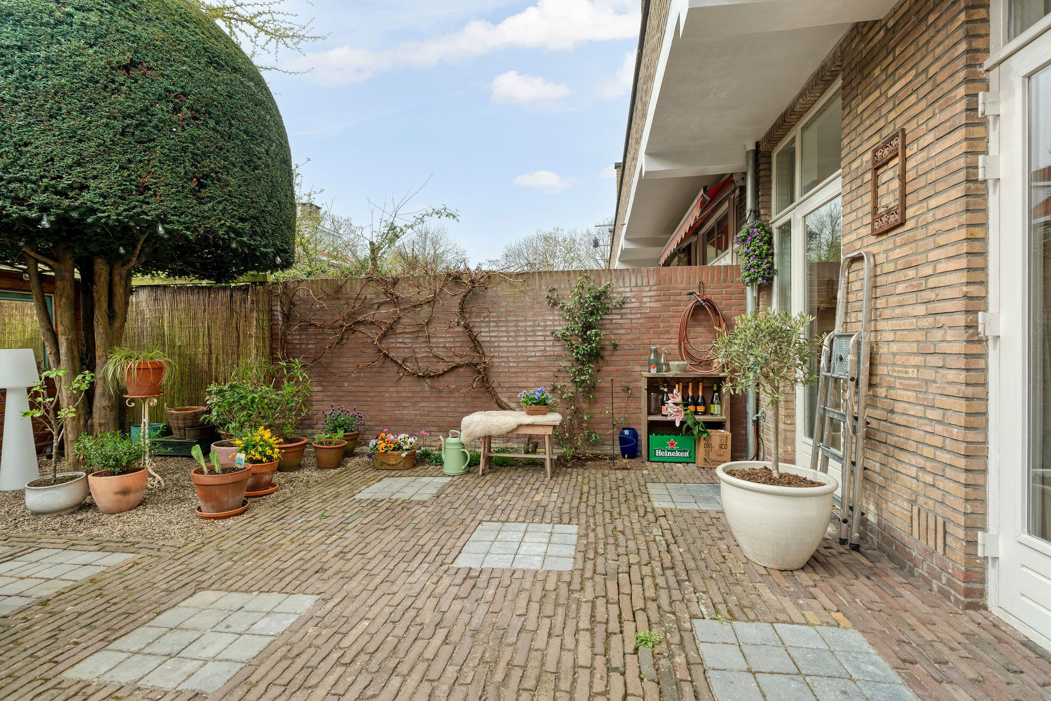 Foto 24 van Hoefbladlaan 134