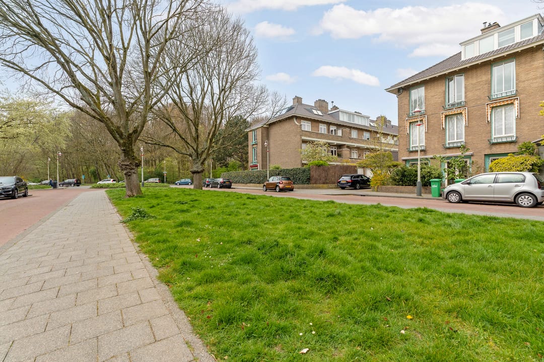 Foto 73 van Hoefbladlaan 134