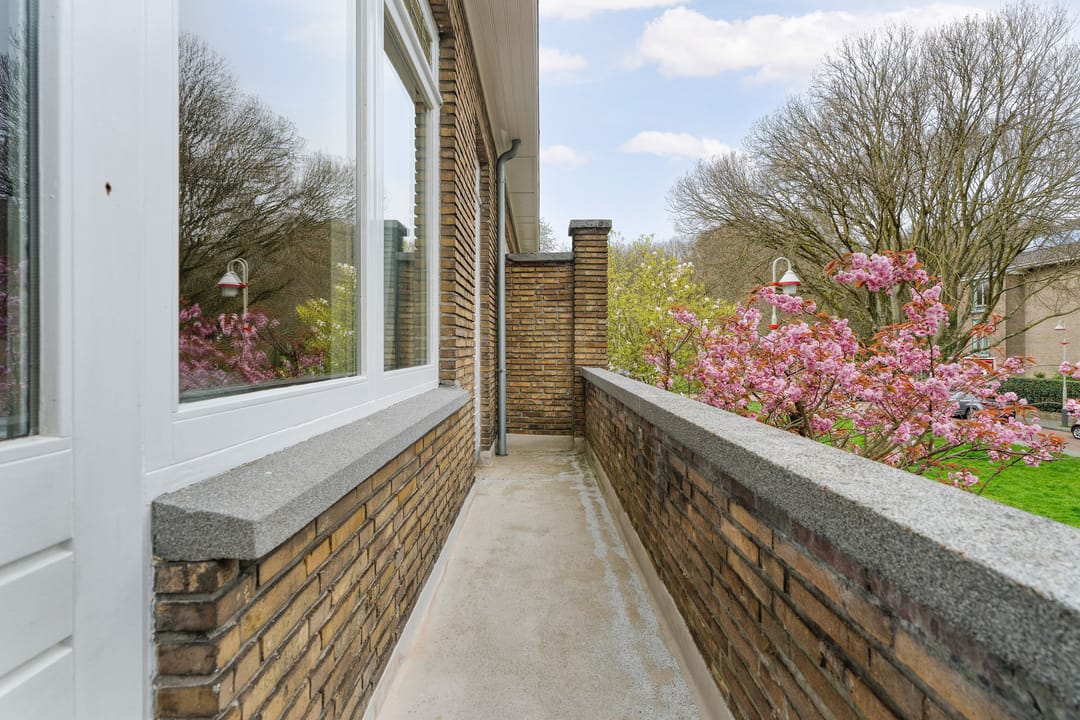 Foto 47 van Hoefbladlaan 134