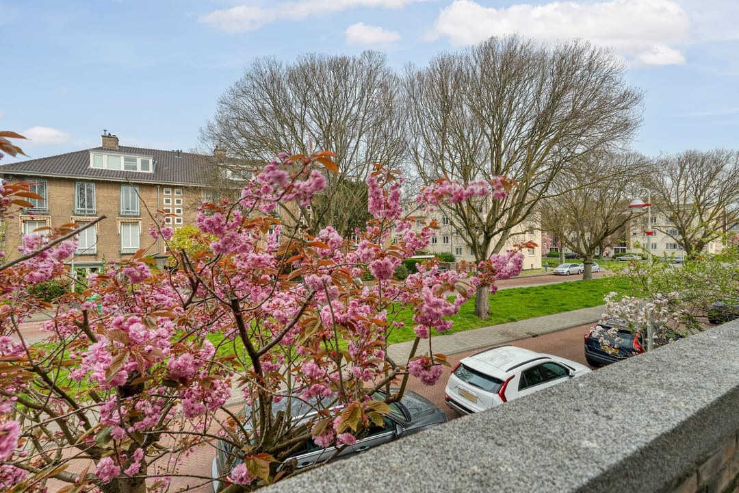 Foto 46 van Hoefbladlaan 134