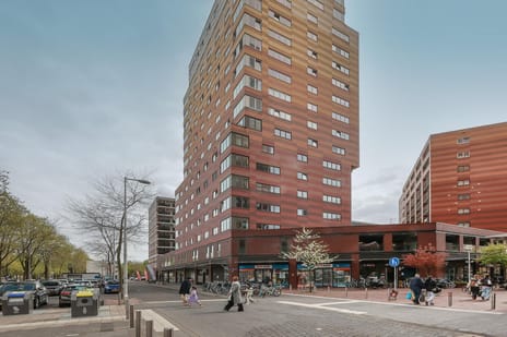 undefined main image