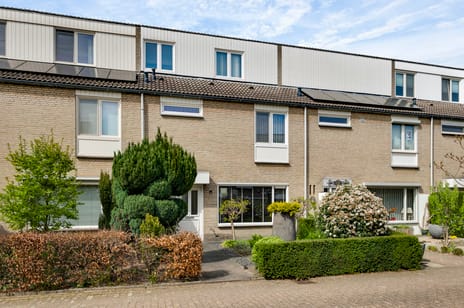 Brunellastraat thumbnail