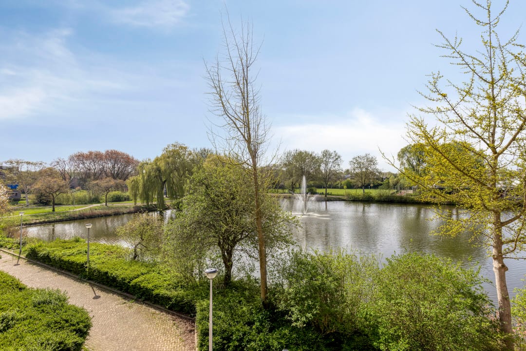 Foto 37 van Henry Moorepassage 232