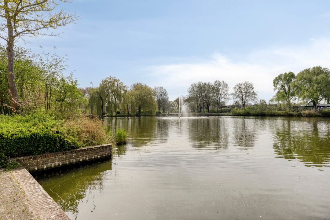 Foto 41 van Henry Moorepassage 232