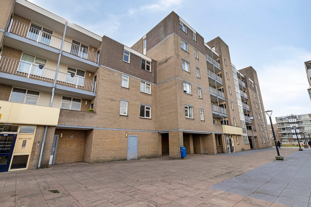 Foto 8 van Henry Moorepassage 232