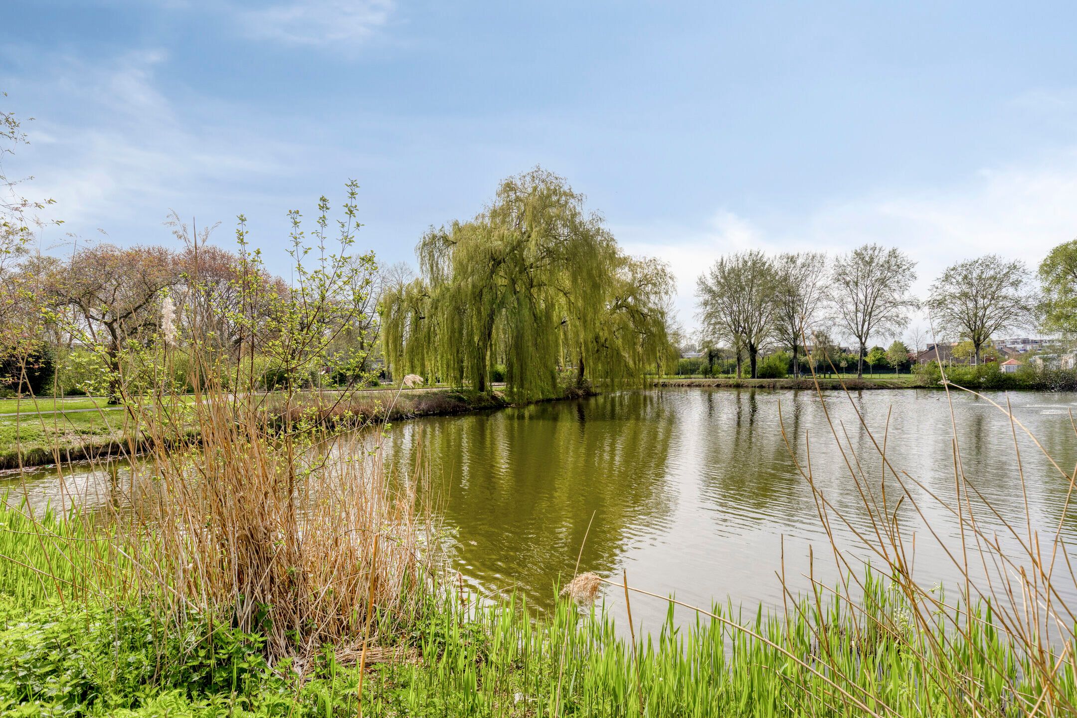 Foto 42 van Henry Moorepassage 232