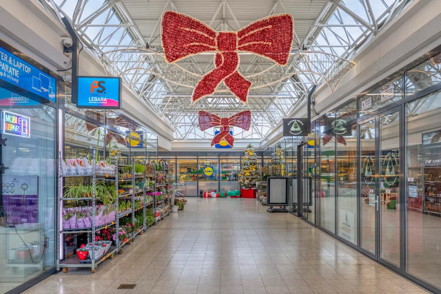 Foto 45 van Henry Moorepassage 232