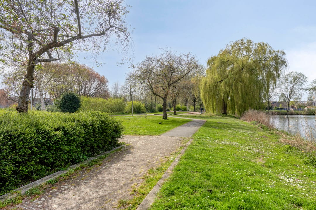 Foto 43 van Henry Moorepassage 232