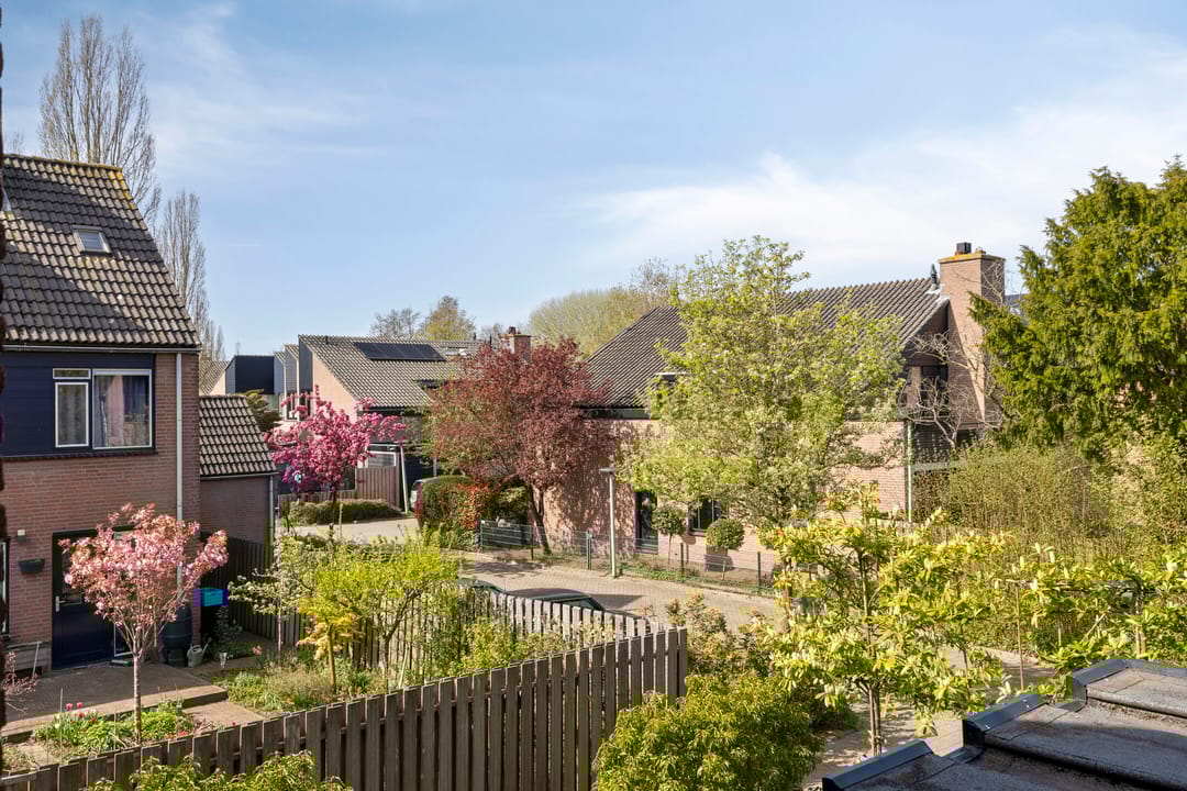 Foto 31 van Kennipwerf 2